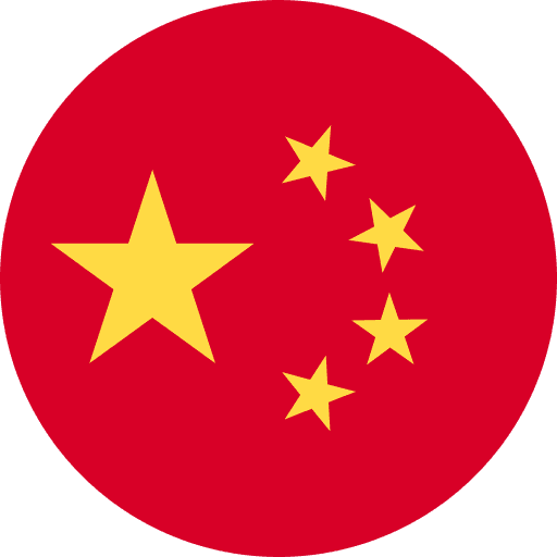 中文
